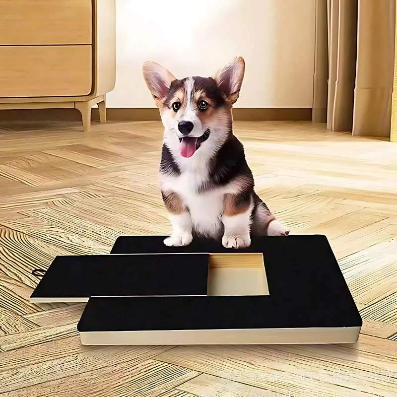 ScratchPaws dog nail grooming board for stress-free paw care and natural nail filing.