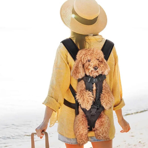 Durable dog carrier backpack for safe pet travel during hiking & all outdoor adventures.