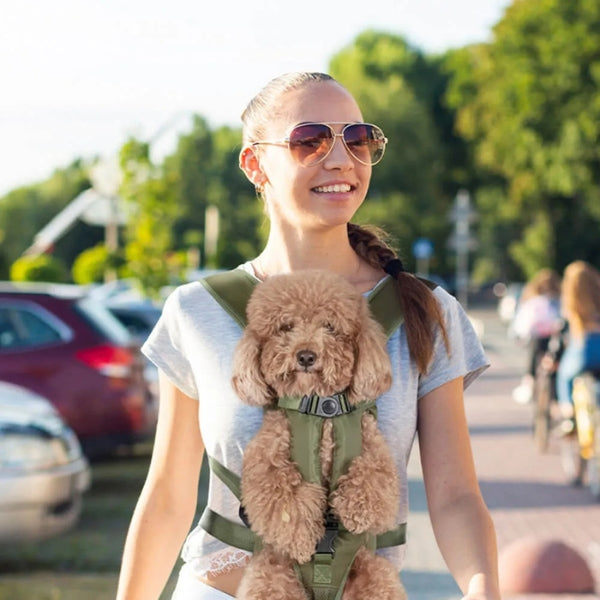 Adjustable dog carrier backpack for hiking, offering comfort & security for your pet's outdoor adventures.