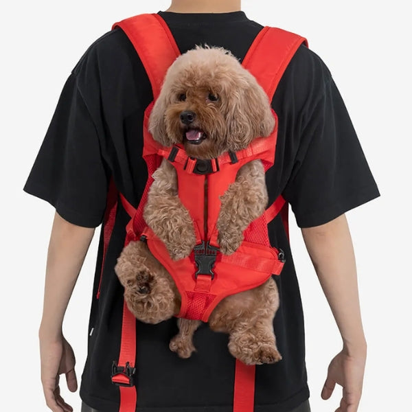 Adventure-ready dog carrier backpack. Waterproof & comfortable for hiking pet travel & outdoor explorations.
