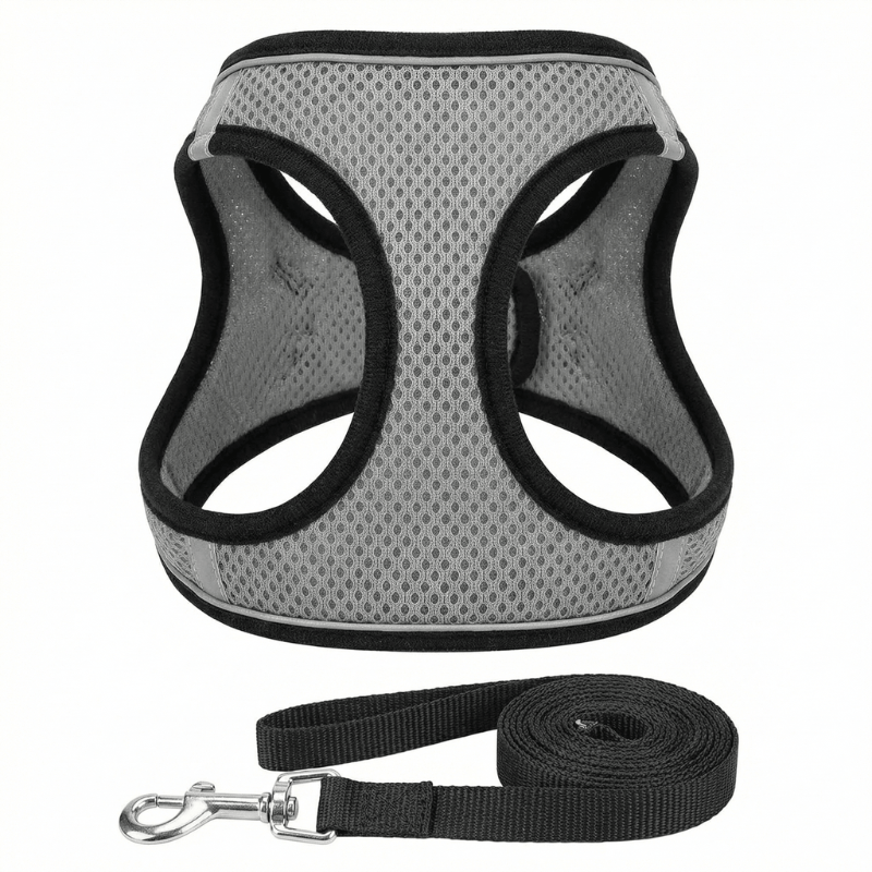 Reflective cat harness for enhanced pet safety during night walks