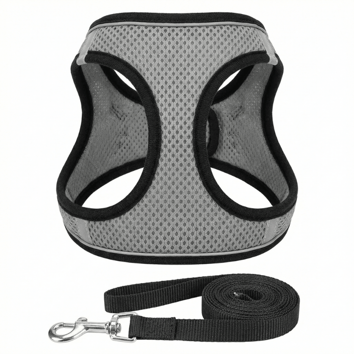 Reflective cat harness for enhanced pet safety during night walks
