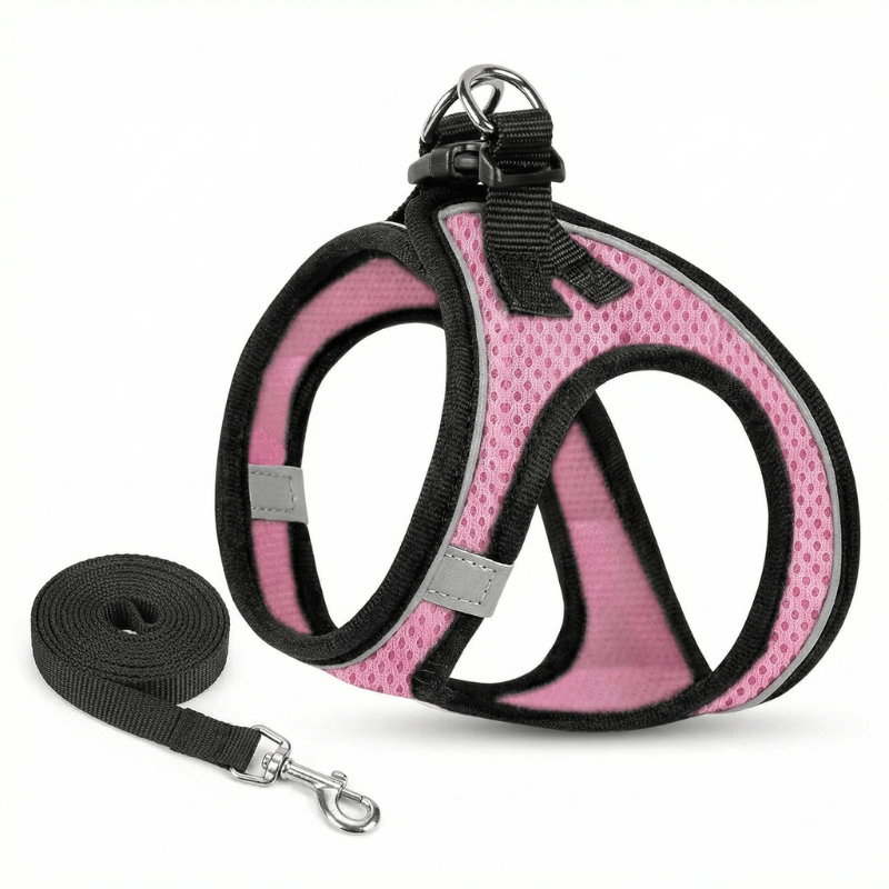 Durable and secure cat harness, perfect for outdoor adventures and training