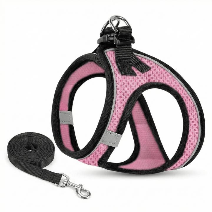 Durable and secure cat harness, perfect for outdoor adventures and training
