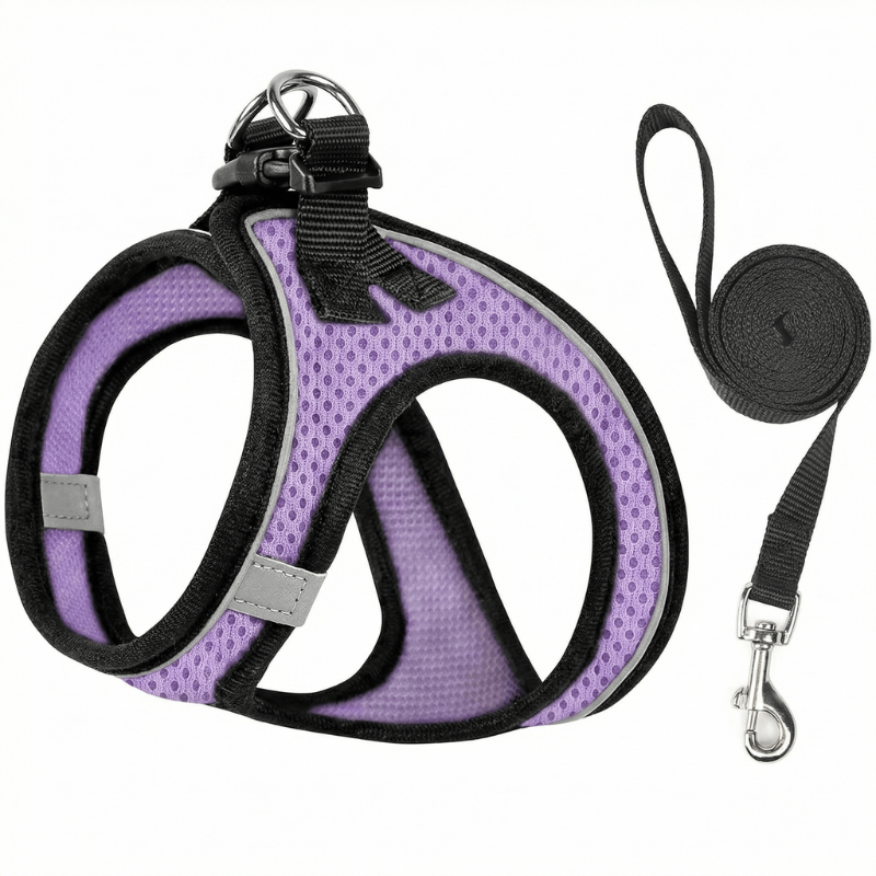 Breathable and lightweight cat harness for safe outdoor excursions