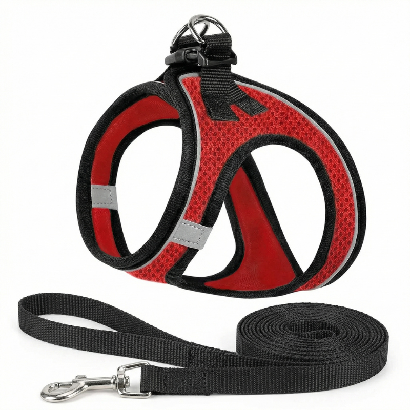 Adjustable escape-proof harness for cats, ensuring maximum pet safety outdoors