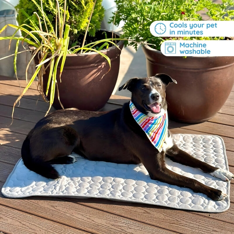 Self-cooling dog mat for ultimate pet comfort. Portable, no refrigeration needed, perfect for summer heat relief.
