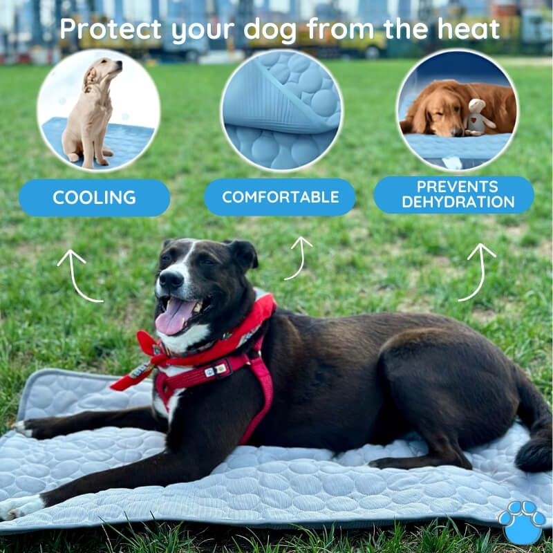 Portable cooling mat for dogs. Lightweight, self-cooling pet bed provides summer heat relief outdoors & on the go.