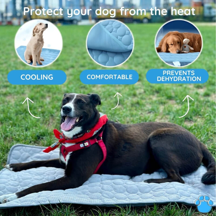 Portable cooling mat for dogs. Lightweight, self-cooling pet bed provides summer heat relief outdoors & on the go.