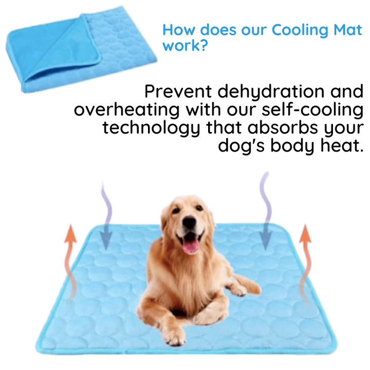Washable dog cooling mat for pets. Durable, self-cooling gel pad offers comfortable heat relief; easy to clean.