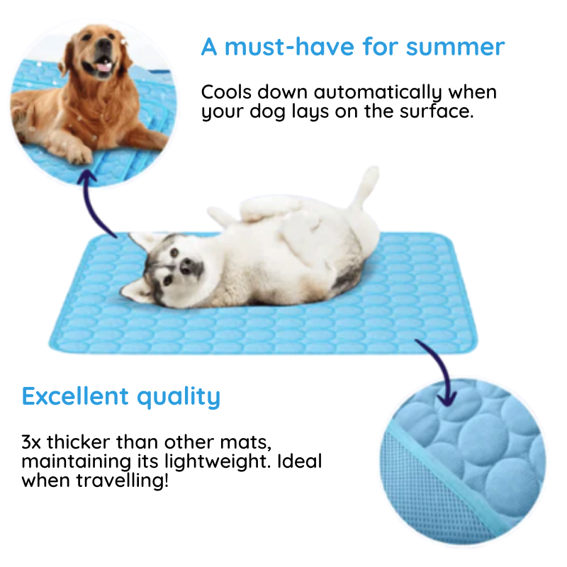 Happy dog resting comfortably on a self-cooling pet mat. Provides instant heat relief & summer comfort for animals.