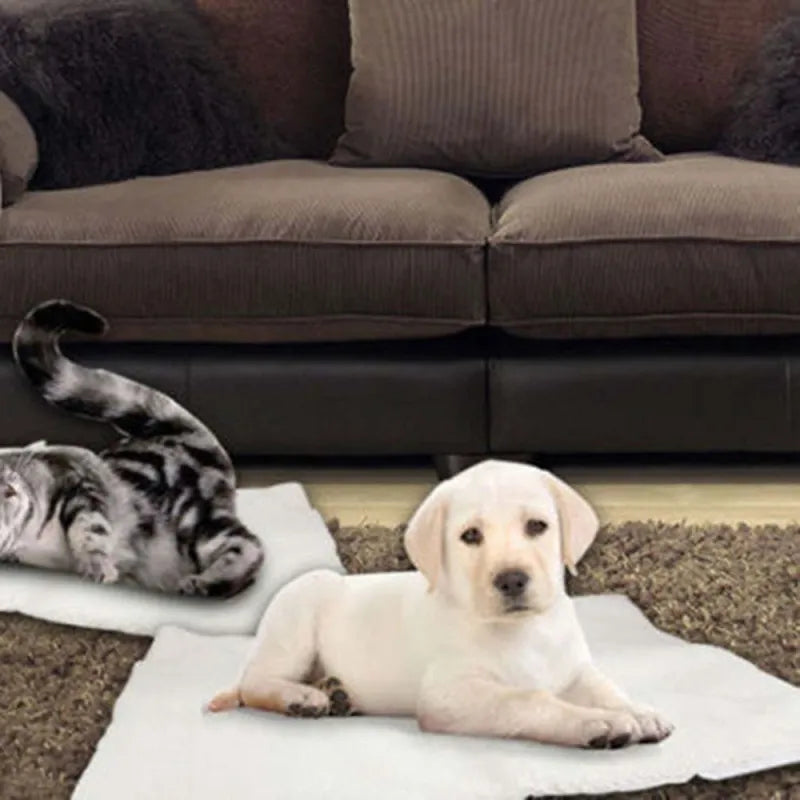 Self-warming pet mat for dogs & cats, providing cozy comfort without electricity. Ideal for winter warmth.