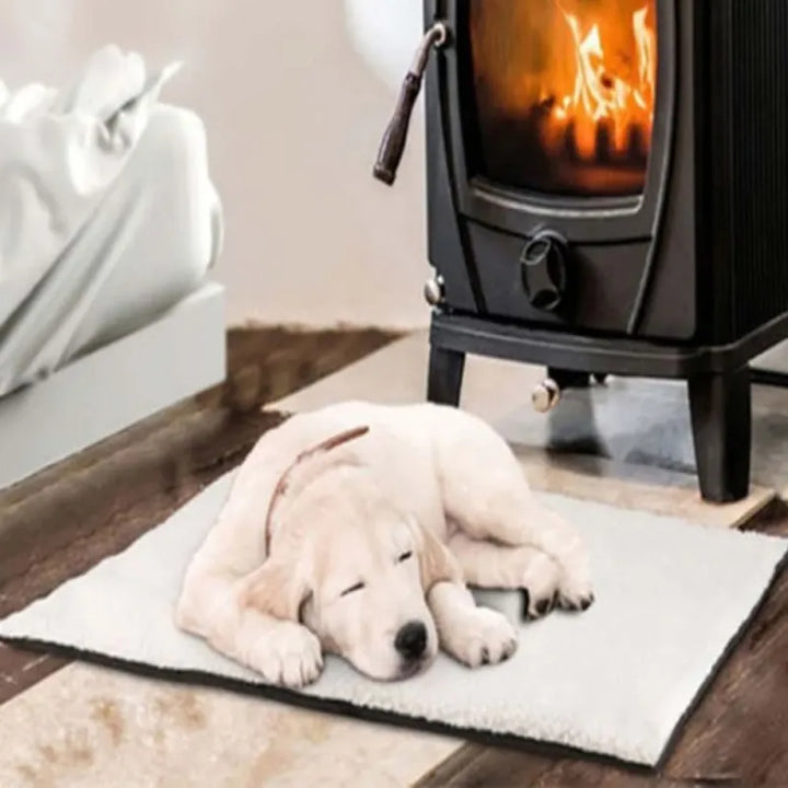 Cozy, no-electricity self-warming pet mat for cats & dogs, offering ultimate comfort and warmth for sleepy pets.