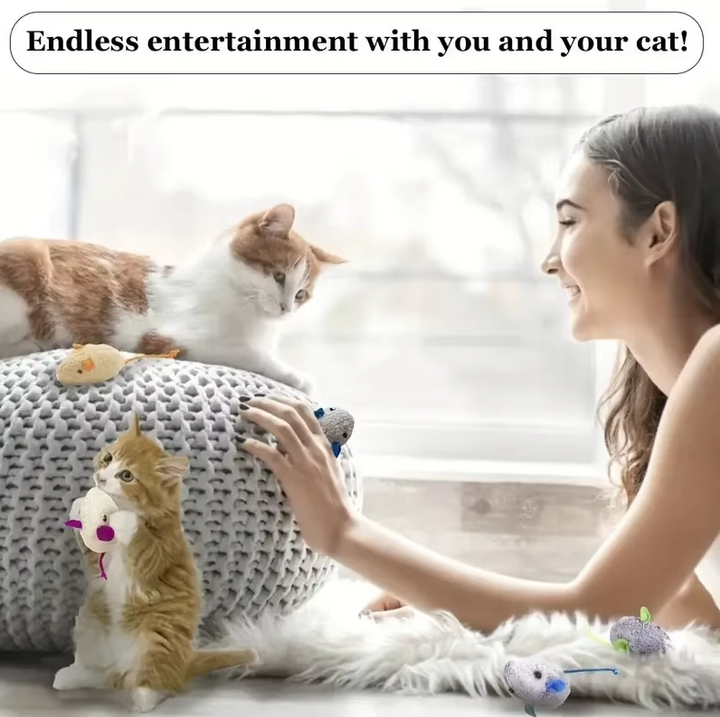 Soft plush mice cat toys, perfect for feline enrichment & satisfying your cat's natural hunting instinct at playtime.