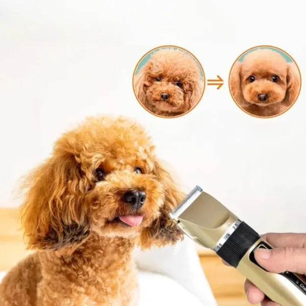 Silent dog grooming trimmer set with multiple adjustable combs for quiet home pet care. Professional dog clippers.
