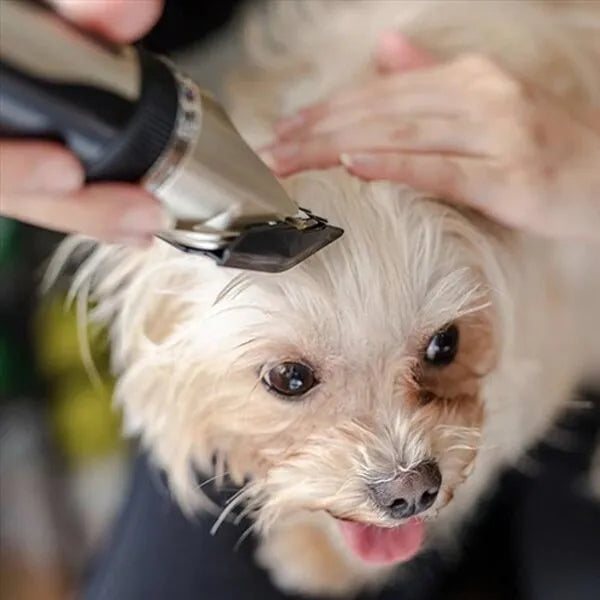 Ergonomic, quiet dog trimmer for stress-free pet grooming. Precision silent clippers for professional home use.