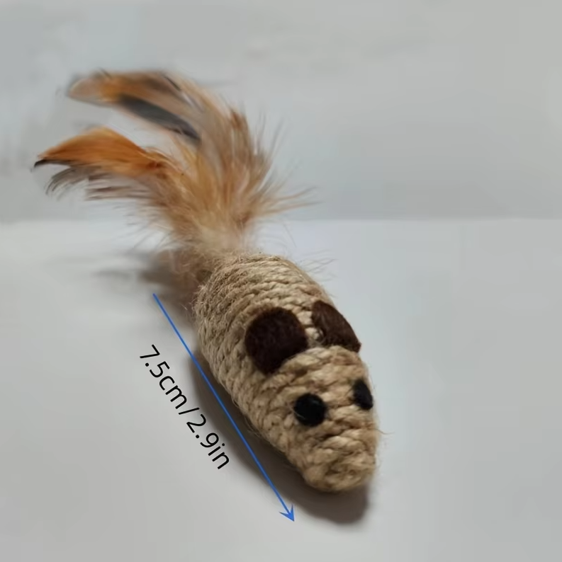Playful sisal fish & feather cat toy for kittens & indoor cats, promoting active play, exercise, and natural hunting instincts.