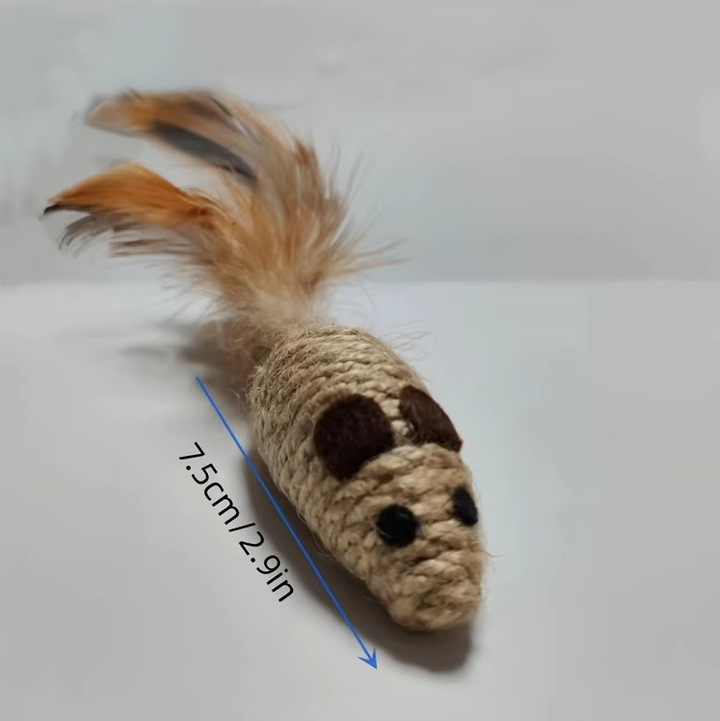Playful sisal fish & feather cat toy for kittens & indoor cats, promoting active play, exercise, and natural hunting instincts.