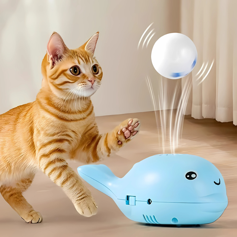 SkyWhale electric floating cat toy ball in blue, interactive indoor pet play