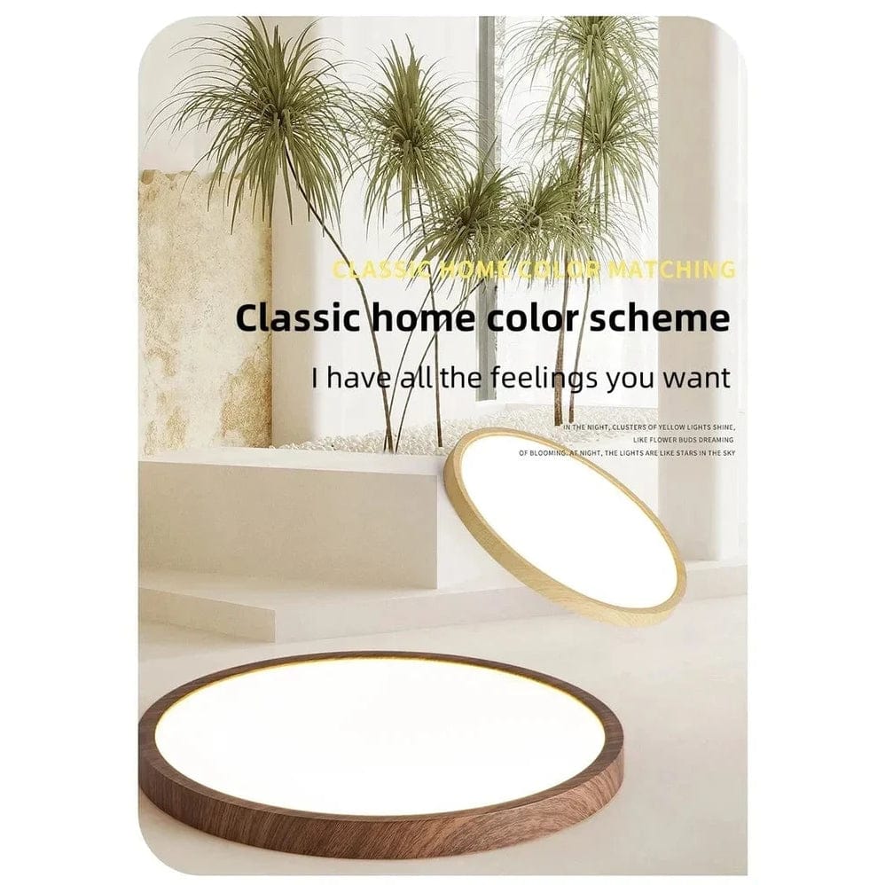 Energy-efficient ultrathin LED ceiling lamp; contemporary circular design, minimalist decor.