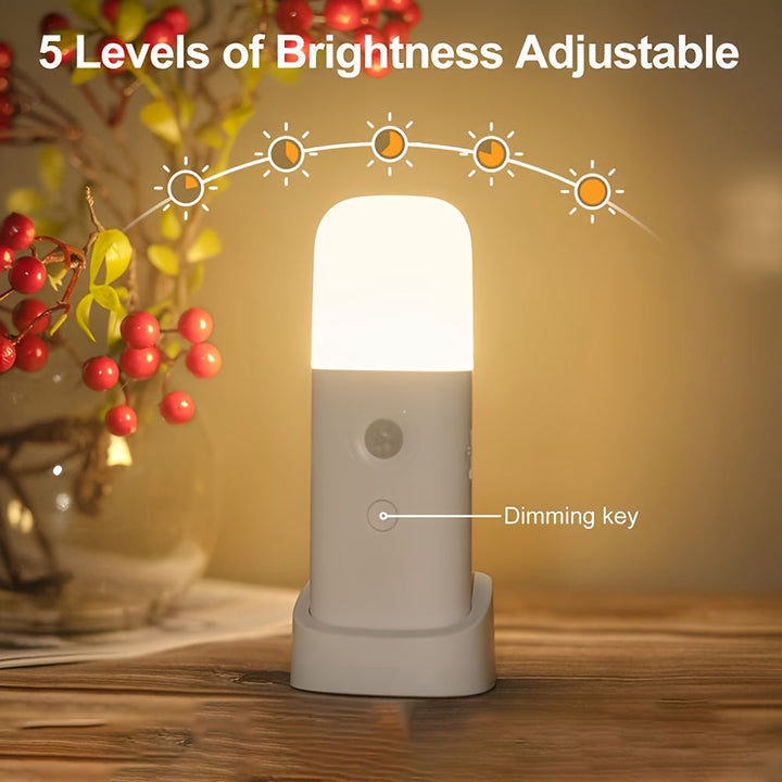 Motion sensor LED night light provides hands-free illumination for home safety in dark hallways & rooms.