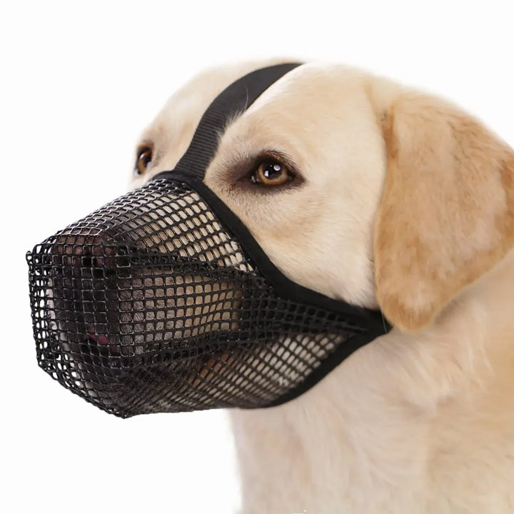 Soft, breathable AirMesh dog muzzle for comfortable wear and pet safety during walks.