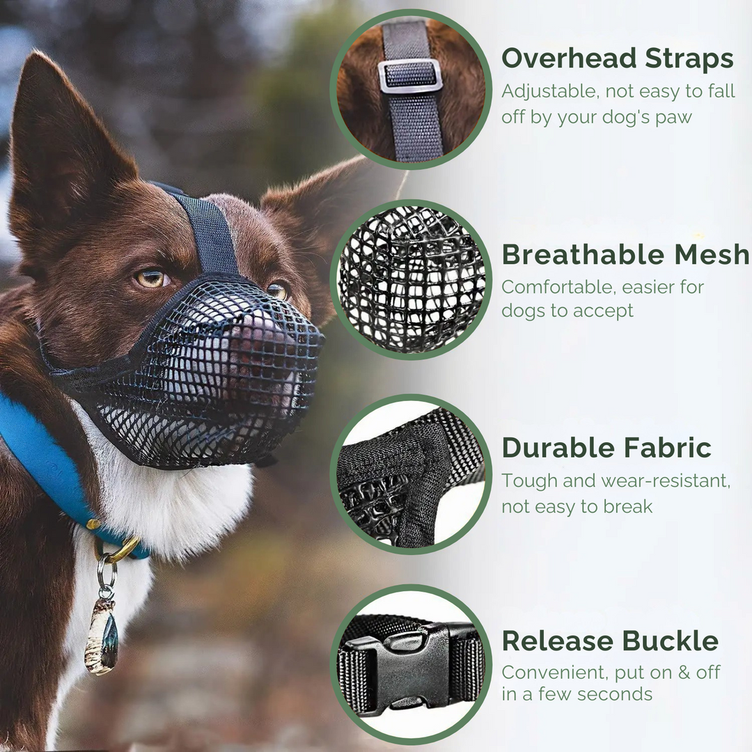 Comfortable AirMesh dog muzzle, ensuring breathability and reducing pet anxiety.