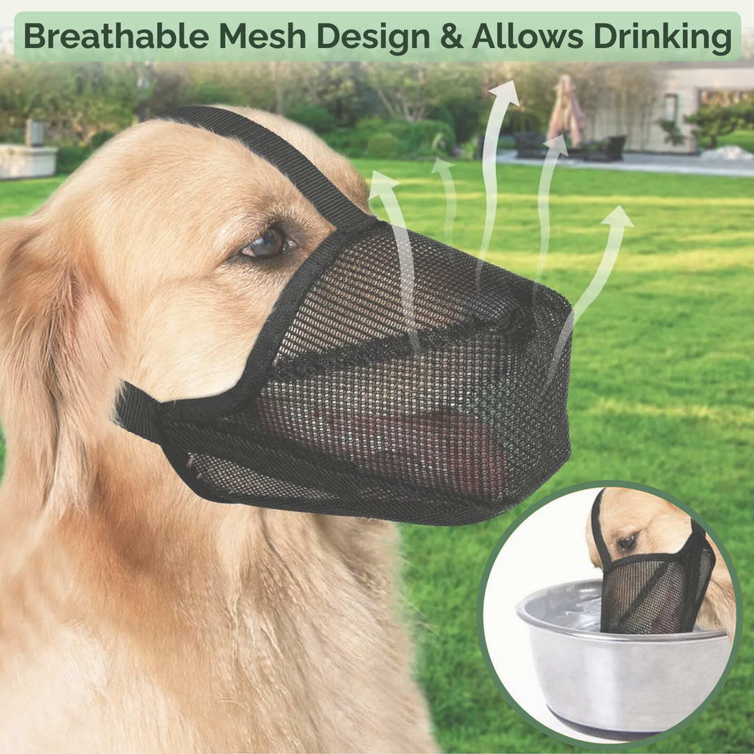 Pet safety AirMesh muzzle, soft & breathable for all-day comfort during training.