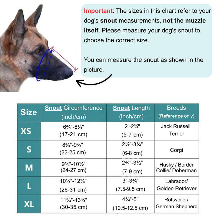 Dog wearing a soft, breathable AirMesh muzzle, ensuring comfort & responsible pet training.
