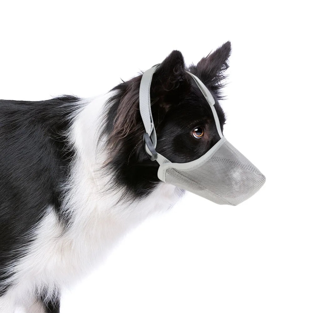 Lightweight & adjustable AirMesh dog muzzle for comfort, breathability & pet safety.