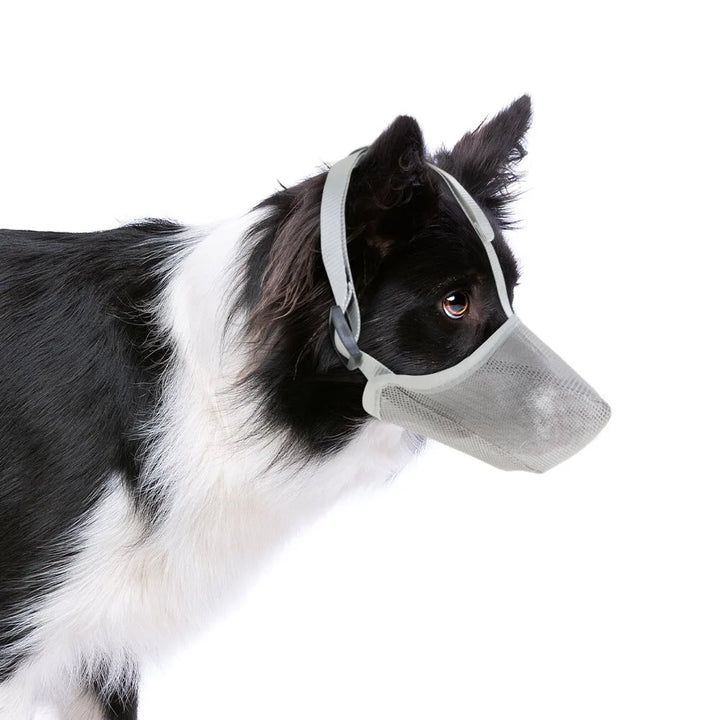 Lightweight & adjustable AirMesh dog muzzle for comfort, breathability & pet safety.