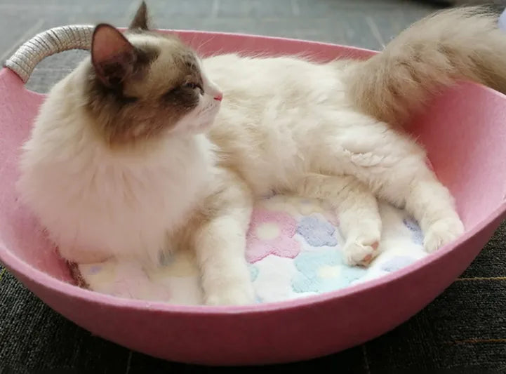 Cozy soft felt cat bed, a comfortable pet basket for cats to relax & sleep, with convenient handles.