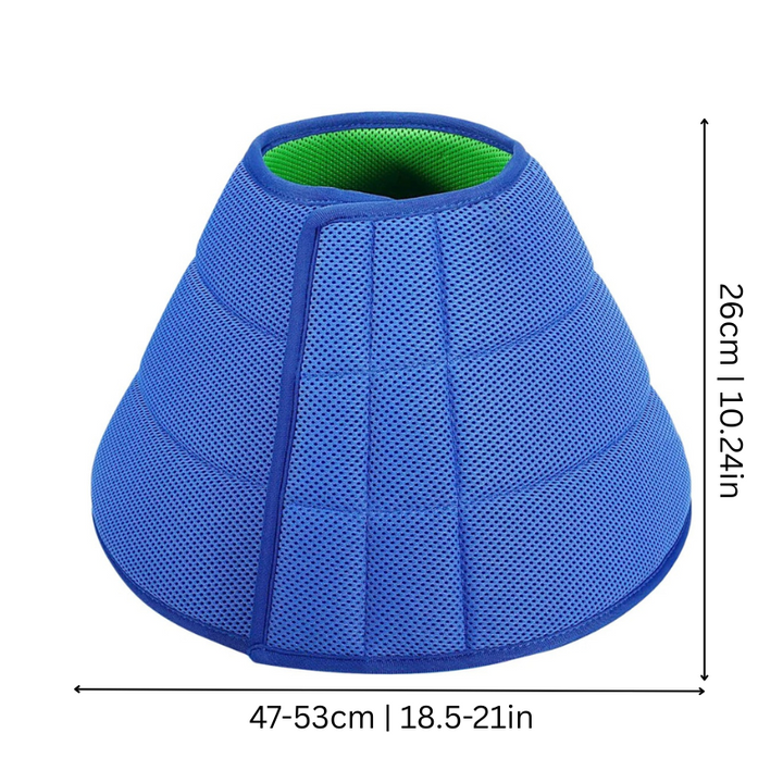 Blue adjustable soft pet recovery collar, a comfortable alternative to traditional pet cones.