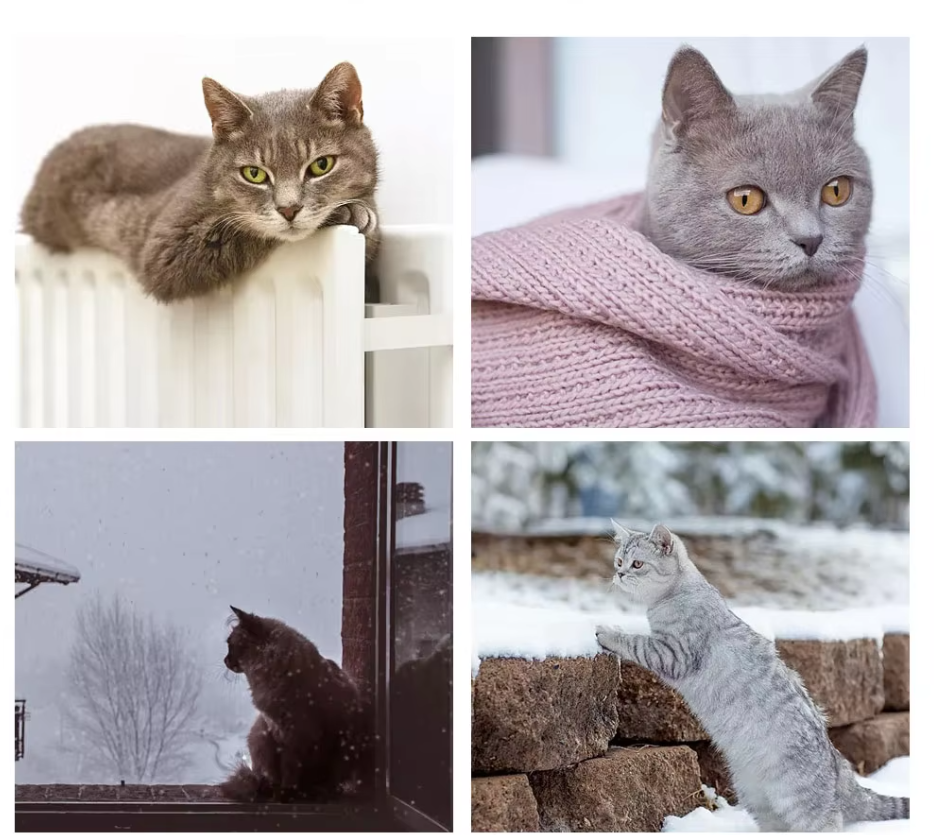 White cat bed featuring a stable hammock design, ideal for ultimate cat comfort.