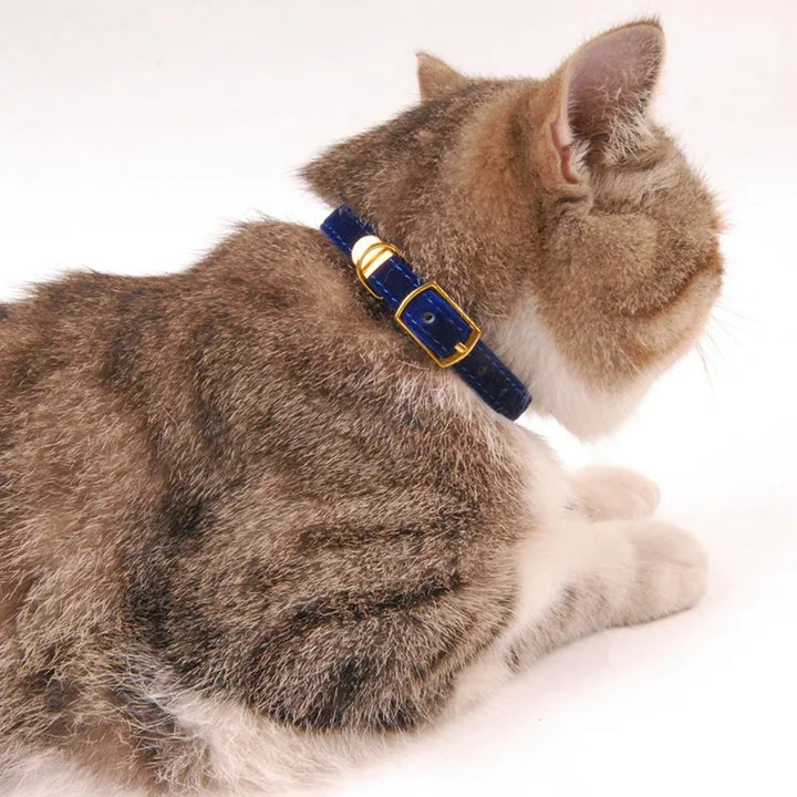 Soft velour cat collar with a shimmering golden buckle. Adjustable for ultimate feline comfort and style.
