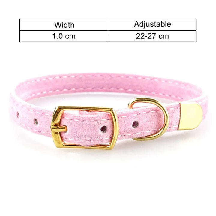 Luxurious velour cat collar, adjustable and comfortable. Features a gleaming golden buckle, perfect for stylish felines.