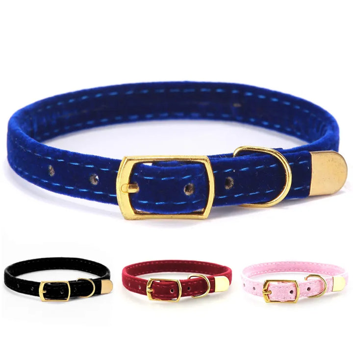 Premium velour cat collar with a secure golden buckle. Soft, comfortable, and fully adjustable for all cats.
