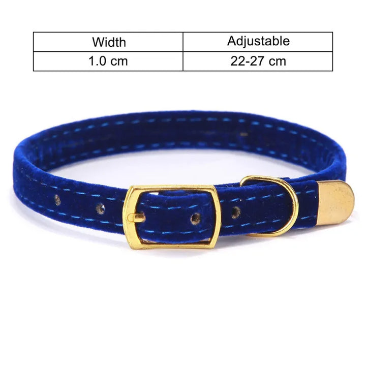 Elegant velour cat collar, plush and adjustable, featuring a distinctive golden buckle. Ideal for discerning felines.