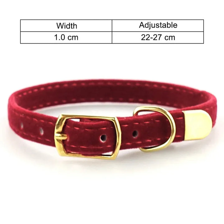 Stylish velour pet collar, soft and adjustable, with a classic golden buckle. A luxury accessory for your cat.