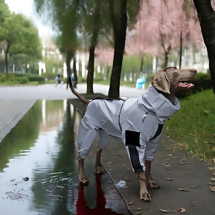 StormGuard reflective dog jacket for superior all-weather protection and visibility on walks.