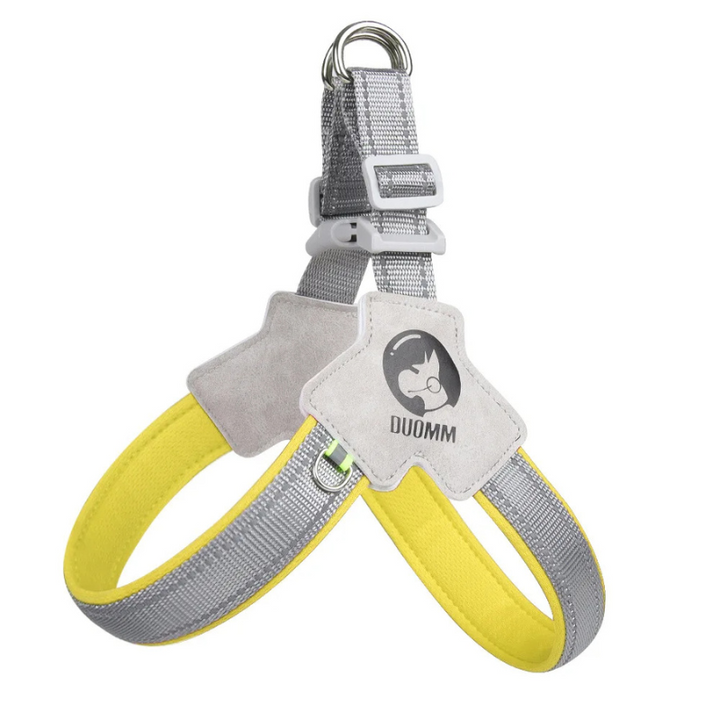 Dog wearing the StrapSafe adjustable harness on a hike, demonstrating its lightweight design.