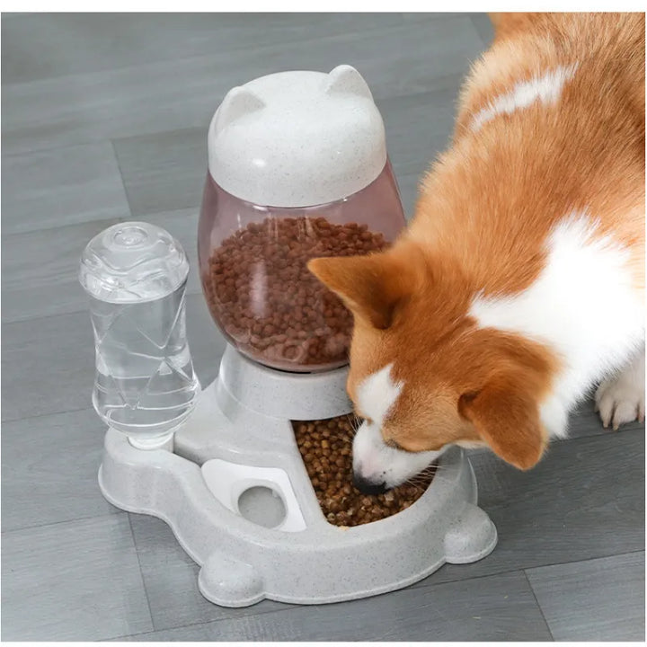 Hands-free automatic pet food dispenser, ensuring consistent meals for your cat or kitten. Easy to program.
