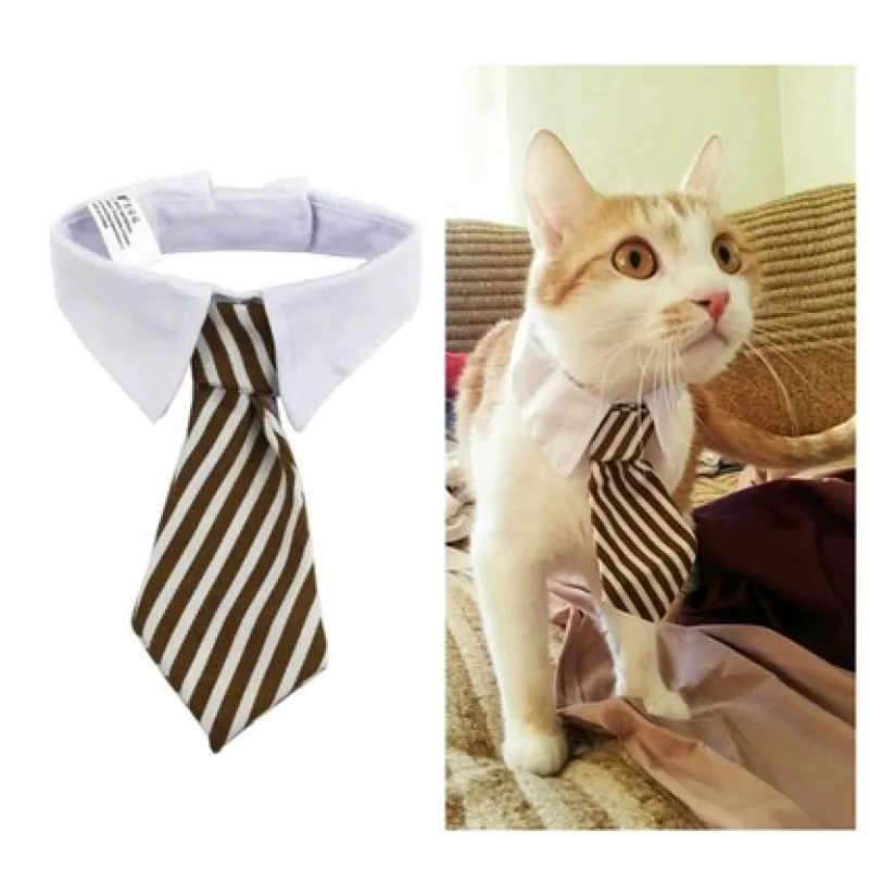 Stylish pet collar with a cute tie, perfect fashion accessory for dogs and cats.