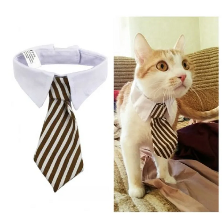Stylish pet collar with a cute tie, perfect fashion accessory for dogs and cats.