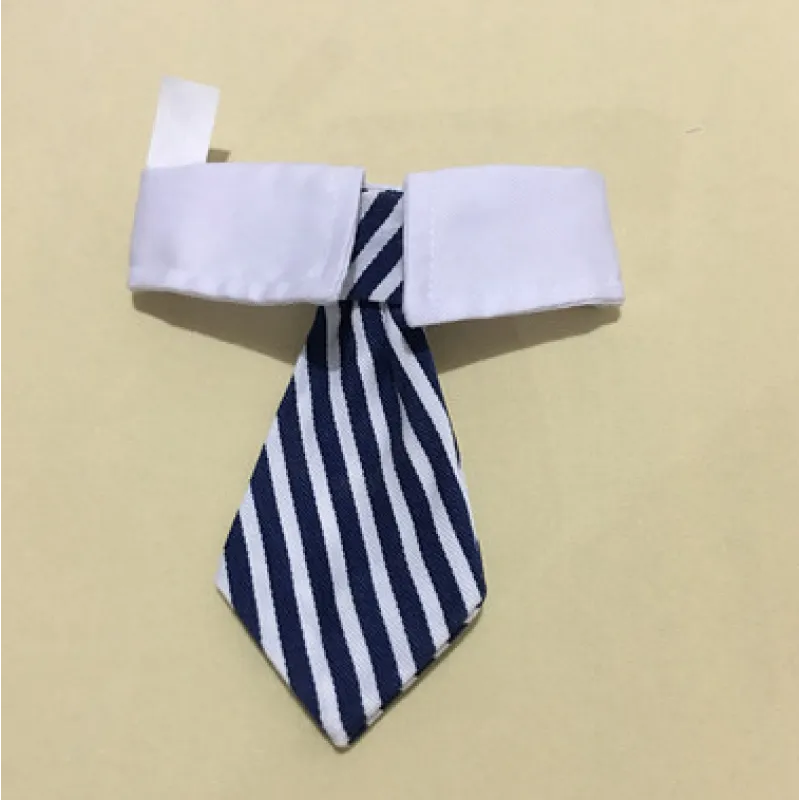 Unique animal accessory: a pet collar with a tie, adding flair to your dog or cat's outfit.