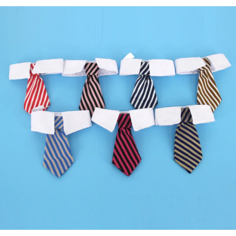 Premium pet collar with a decorative tie, a must-have fashion item for dogs and cats.