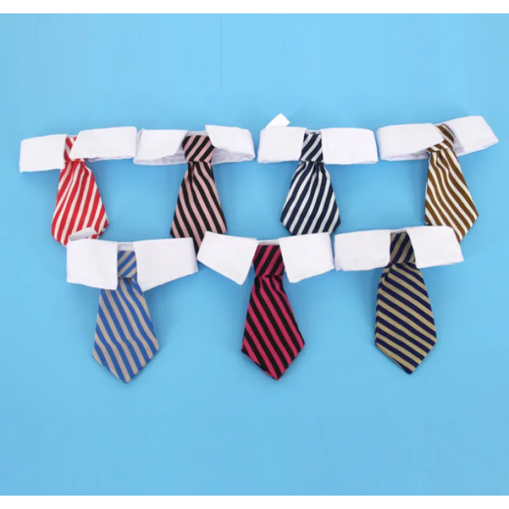 Premium pet collar with a decorative tie, a must-have fashion item for dogs and cats.