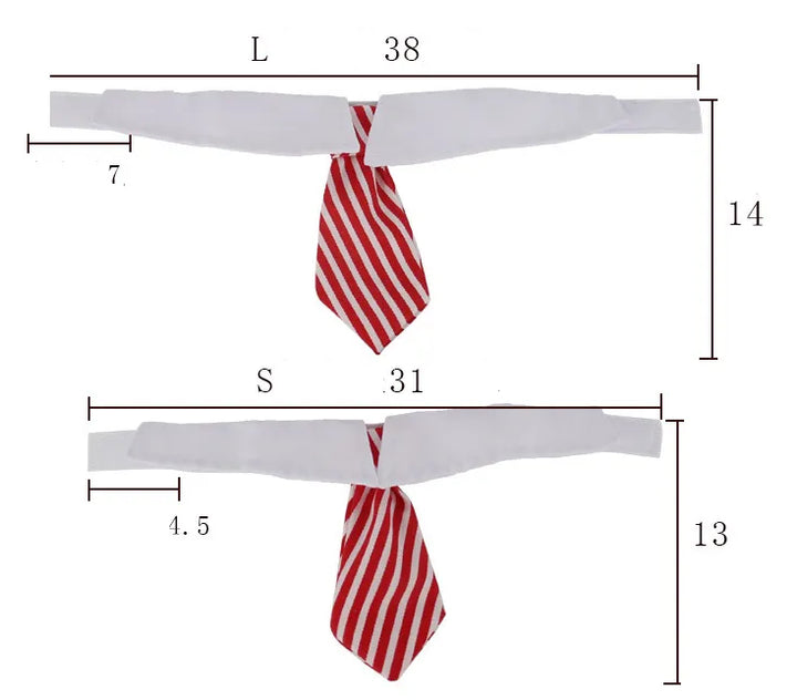 Formal dog & cat collar with tie, a chic pet accessory for special occasions.