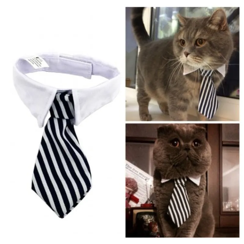 Dapper cat collar featuring an attached tie, making your feline friend look elegant.