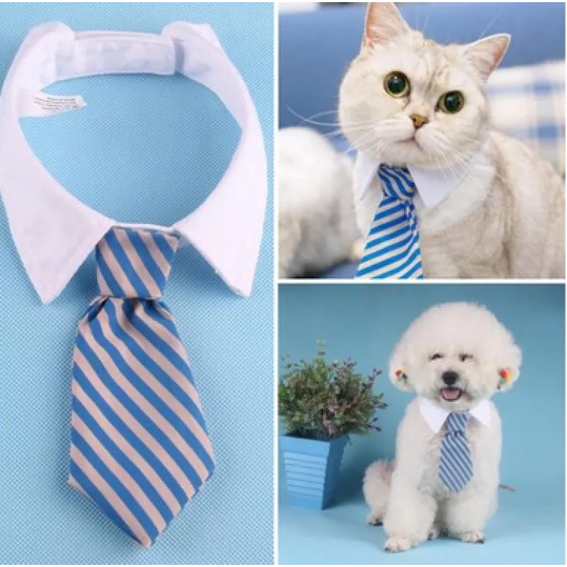 Adjustable pet collar with a trendy tie, ideal for small to large dogs and cats.